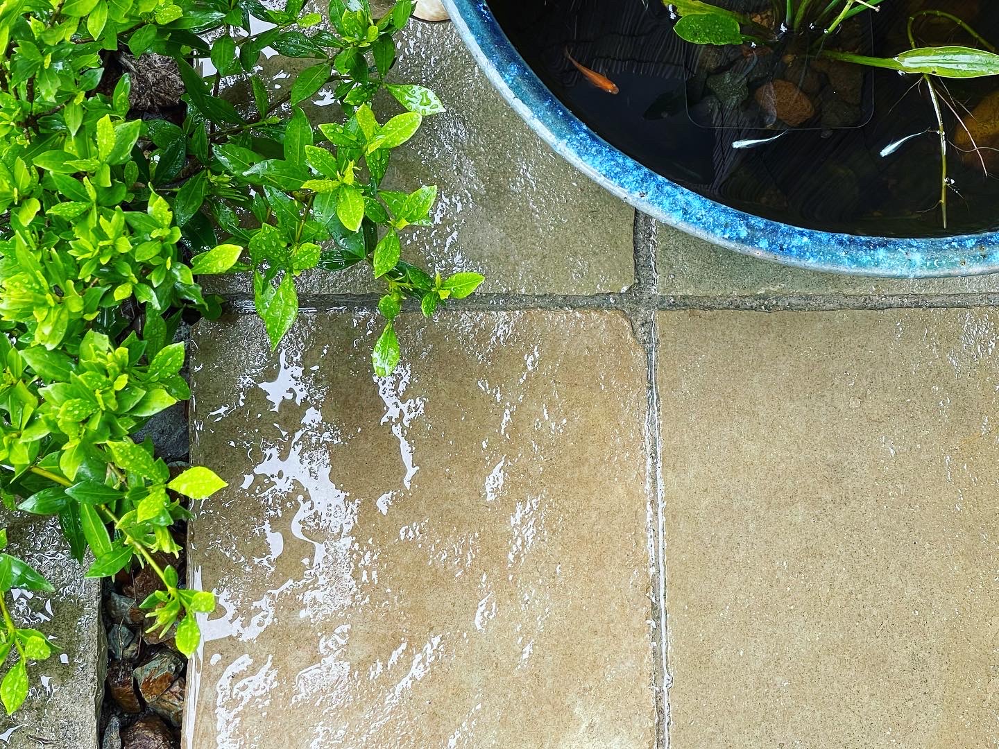 雨の日は庭のある暮らしの楽しみ