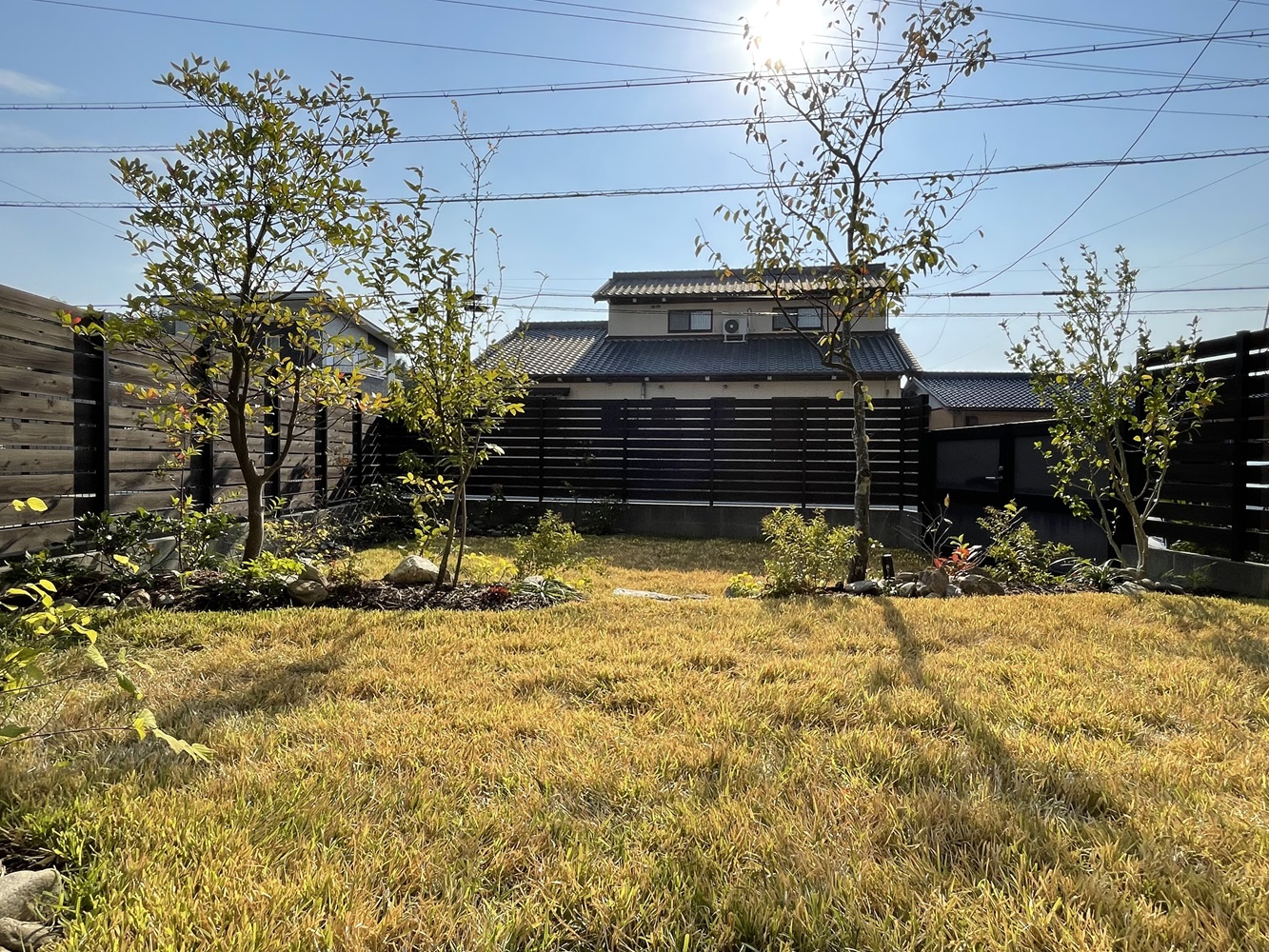 野芝の庭