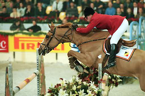 Fysio, dierenarts of osteopaat?