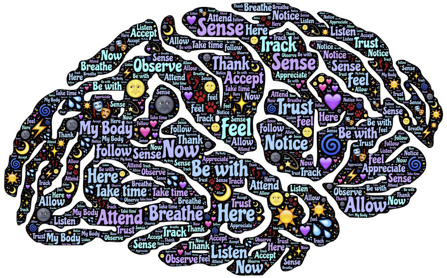 Stress entsteht im Gehirn - Situationen werden unterbewusst bewertet, mit Erfahrungen, deinen Einstellungen, Werten und Emotionen abgeglichen, woraufhin eine zweite Bewertung erfolgt. Diesen Bewertungsprozess kannst Du beeinflussen.