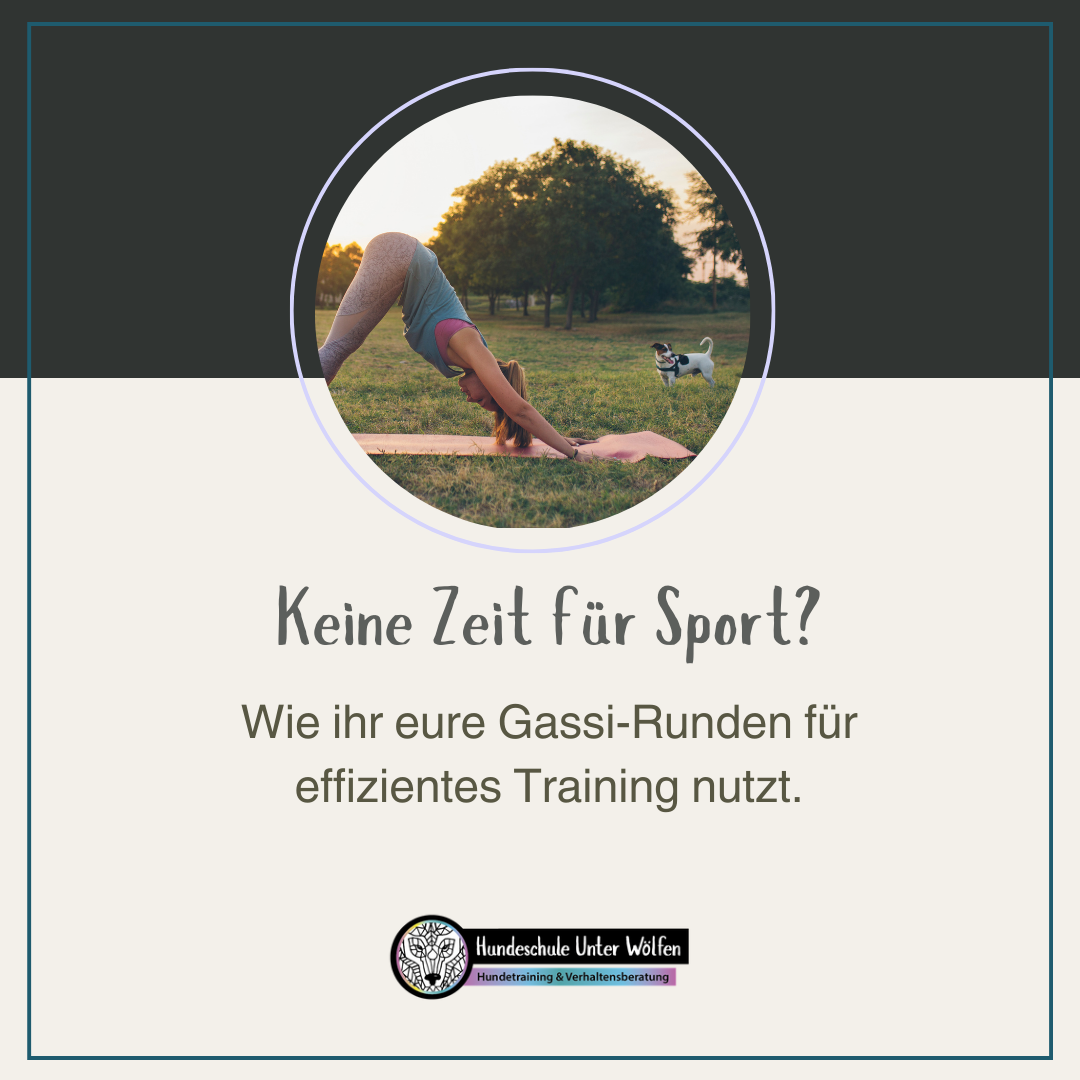 Wie ihr eure Gassi-Runden für effizientes Training nutzt