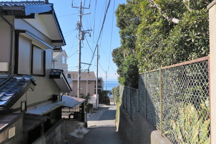 森戸海岸へ向かう道