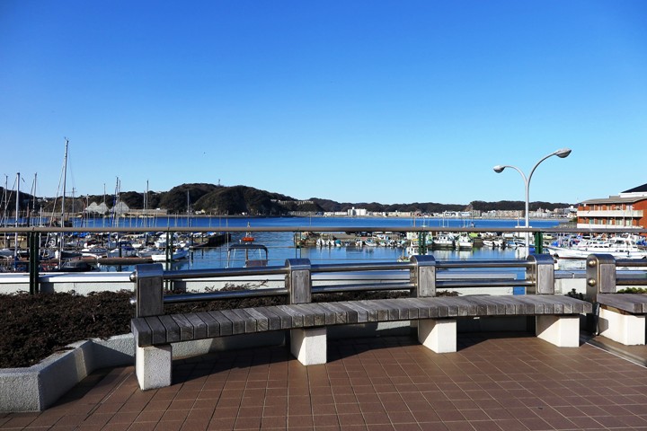 公園から見る葉山港の景色