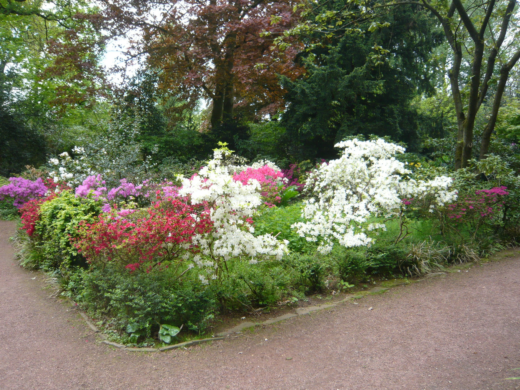 Botanischer Garten Duisburg Duissern kunstraumgruen