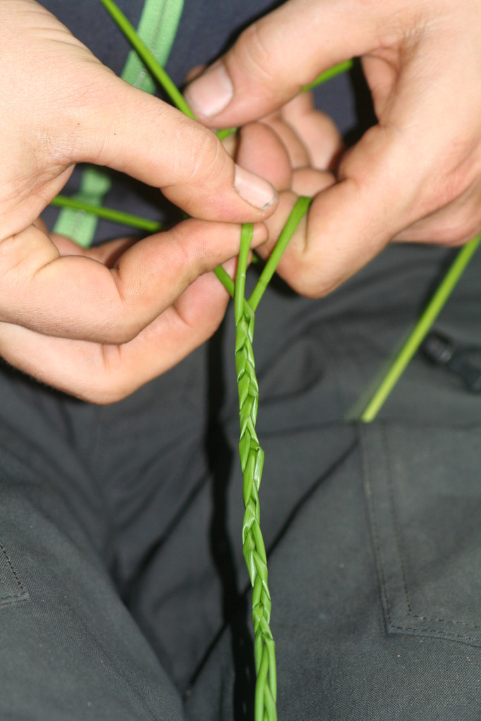 Schnur herstellen aus Binsen