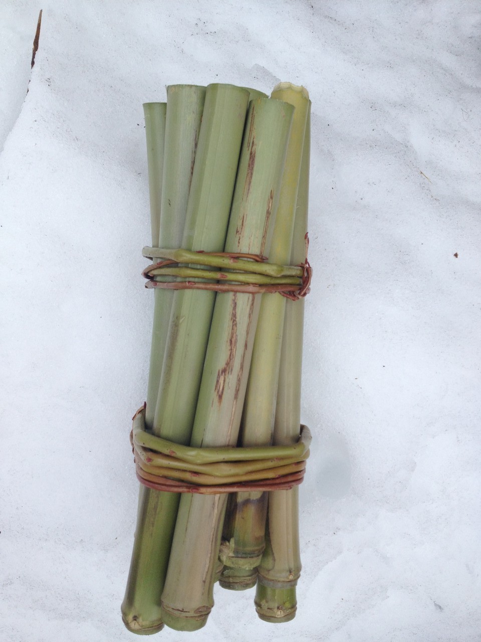  Wasserbehälter aus Bambus mit Weidenzweigen zusammen gebunden