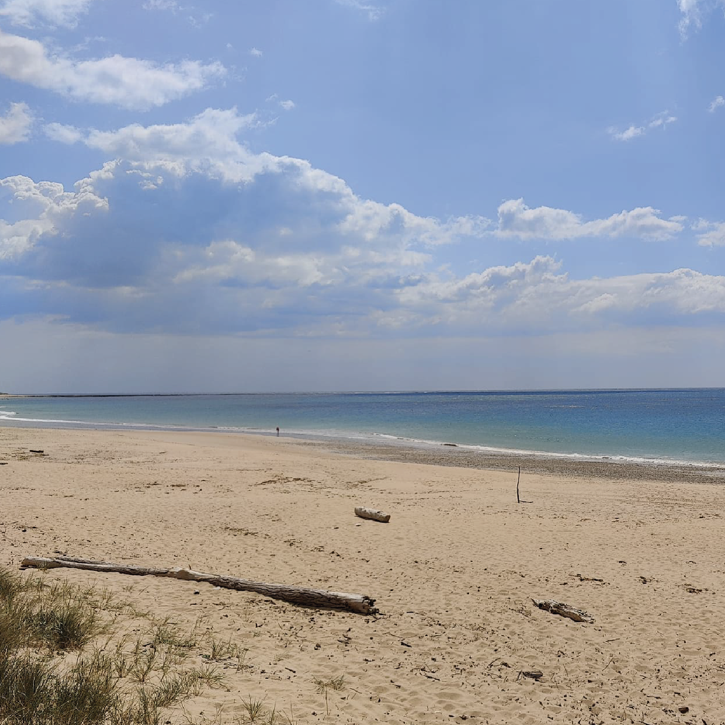 Les meilleurs sites touristiques à visiter en vélo sur l'Île d'Oléron