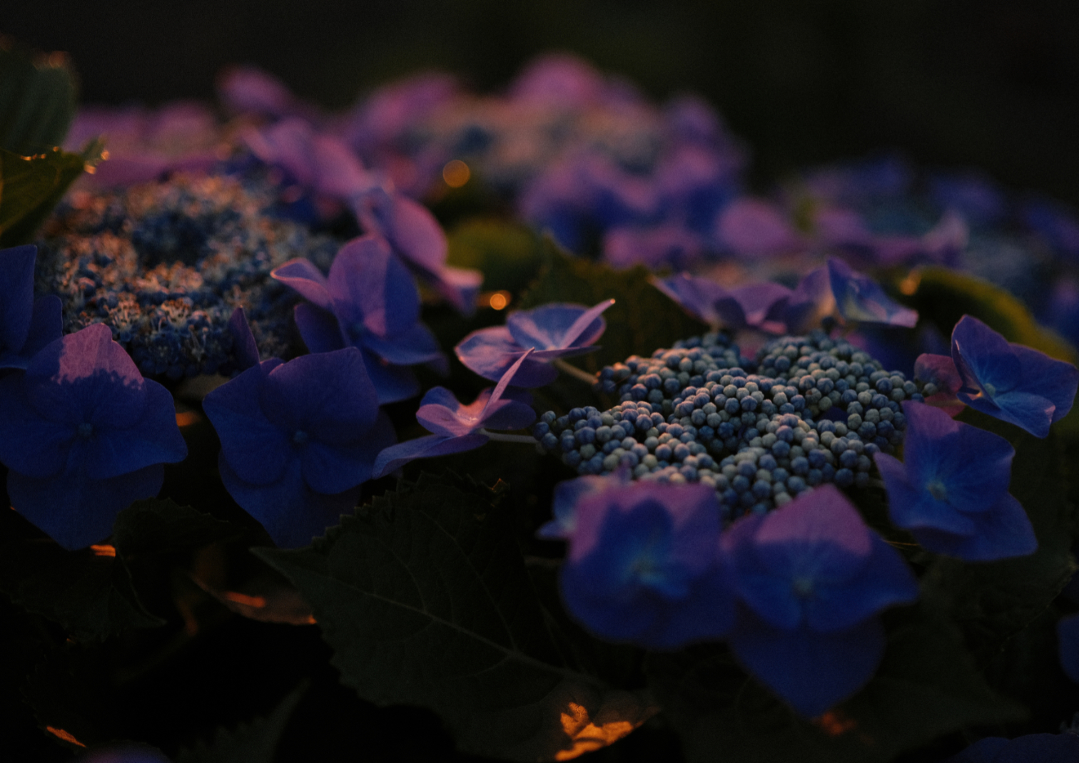 公募写真展[PHOTOGRAPHERS]に出品してました！
