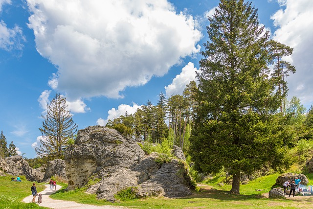 Wandern für den guten Zweck