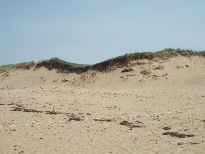 Le sable chaud et les dunes