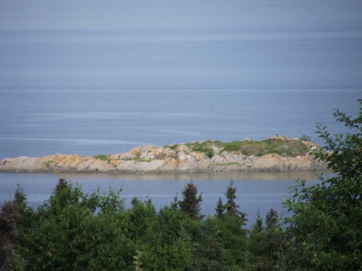 Petite île près de Rivière-du-Loup, Québec