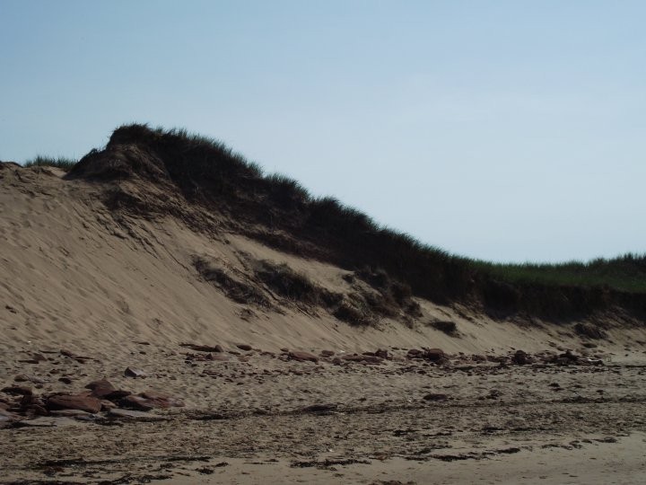 Une dune de plus près
