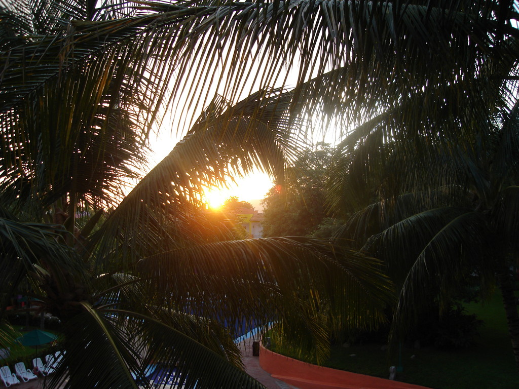 coucher de soleil au travers des palmiers (du balcon de notre chambre)