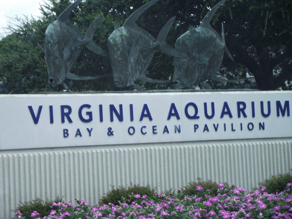 L'aquarium de Virginie, une deuxième visite, toujours aussi beaux