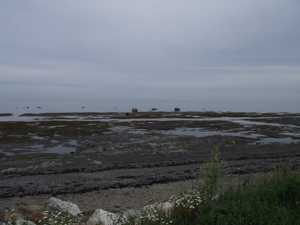 La côte du St-Laurent à la hauteur de Ste-Flavie