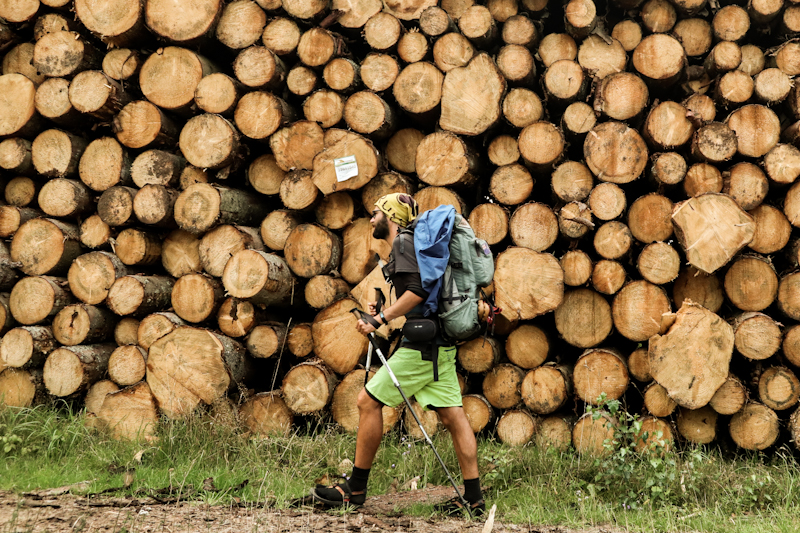 The last few kilometers - slowly but surely feeling exhausted.
