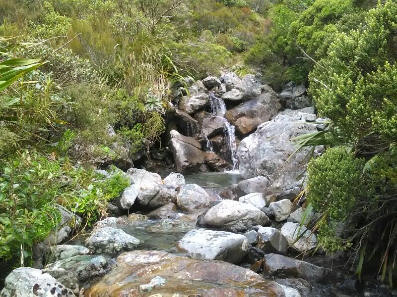 Getting closer to the Goat Pass Hut