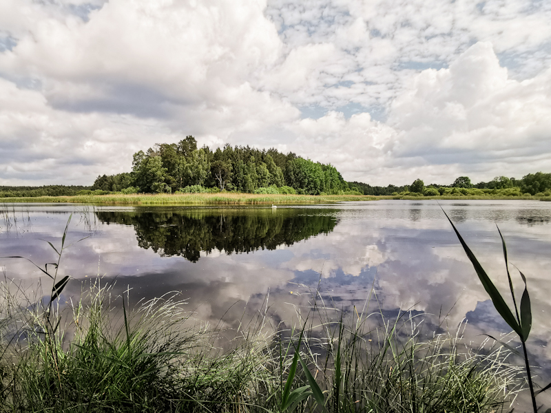 Wildecker pond. Went swimming here as well but not nearly as good as the previous one