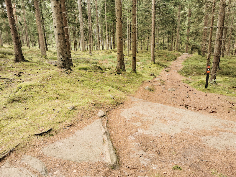 Typical trail today. Well marked, well formed.