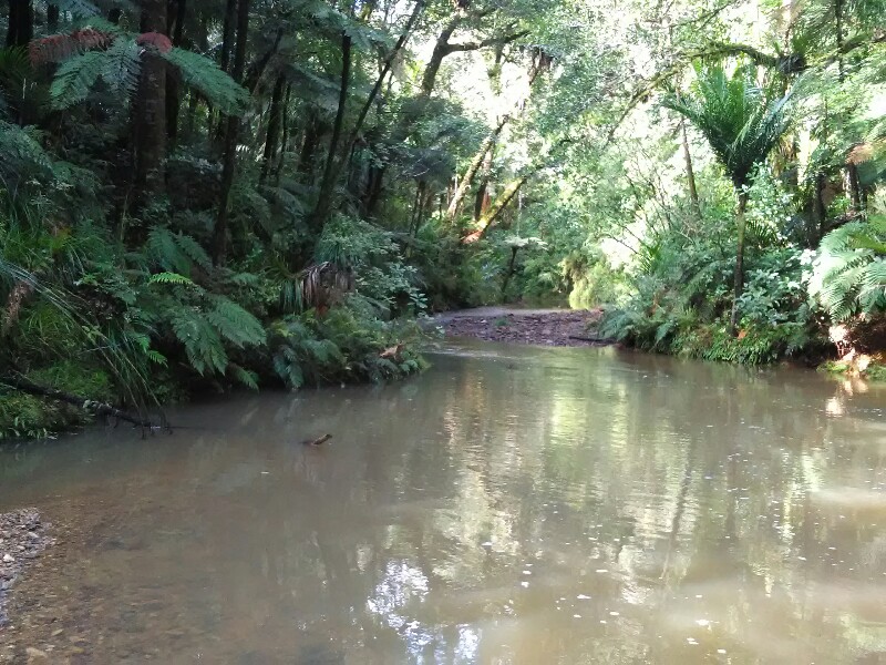 Wading upstream