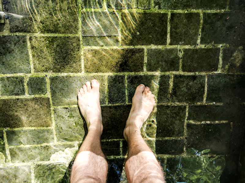 Refreshing