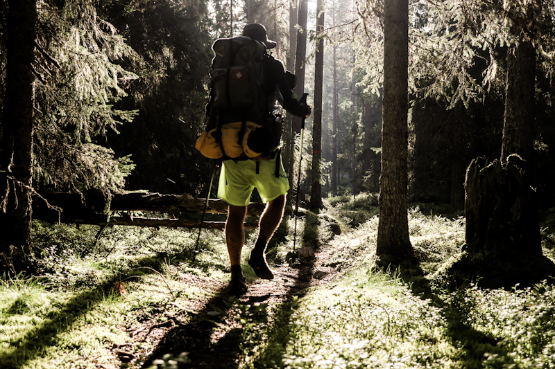 Forest walking 