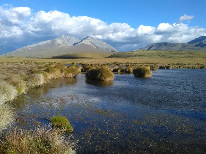 Nice view close before Rangitata River