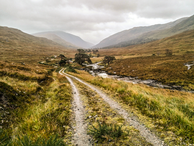 Cona Glen, looking like some Aftrican steppe to me (minus the rain)