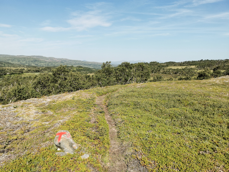 ... gives way to more open terrain.
