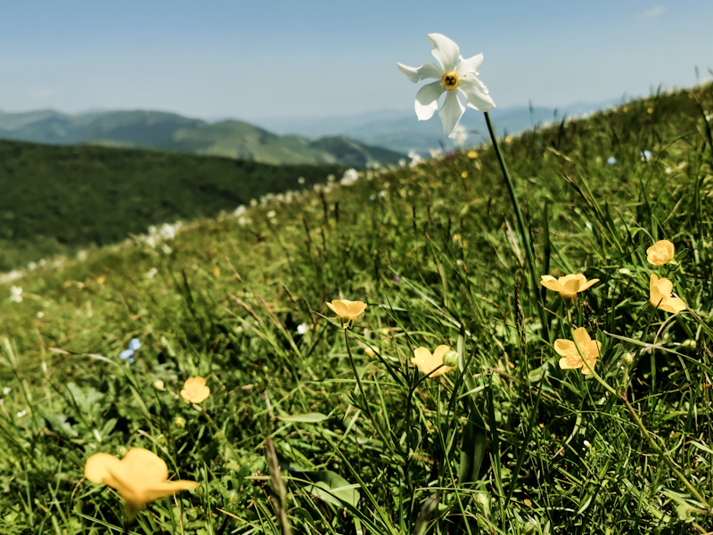 Springtime in Umbria