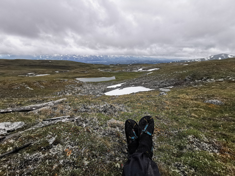 Sweden insight