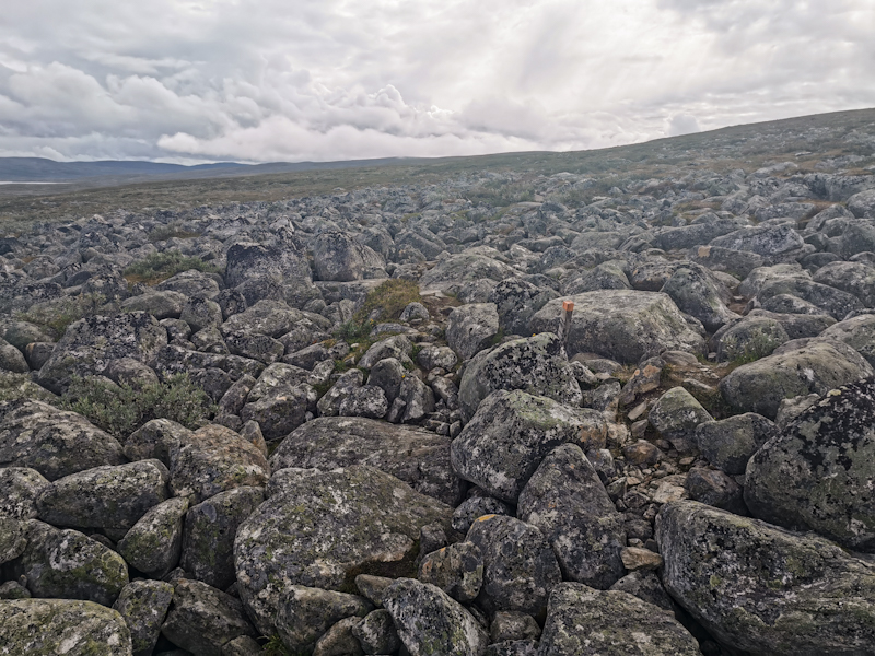 Rock field...