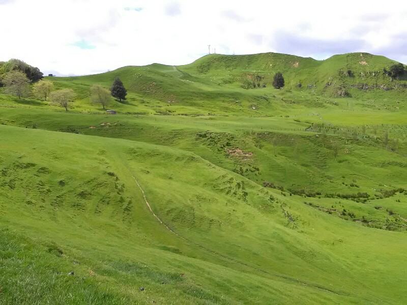 Lovely hike up a hill shortly before Te Kuiti