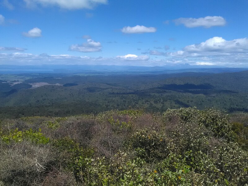 Lake Taupo and Mt Ruapehu