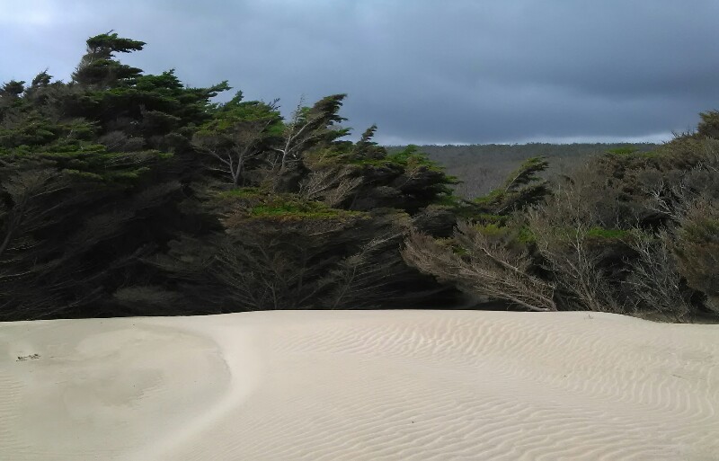 Dunes