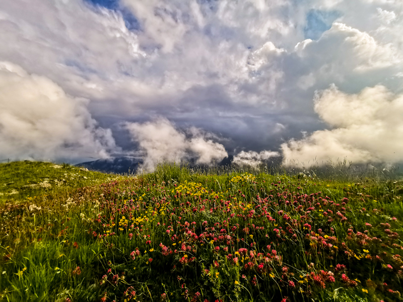 Dark clouds rolling in