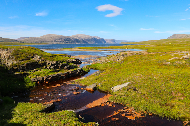 Fantastic landscape