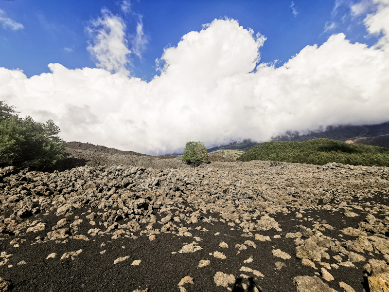 Lava fields