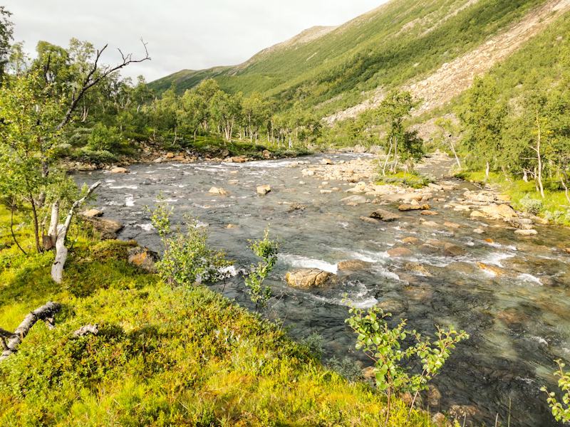 Skaitielva