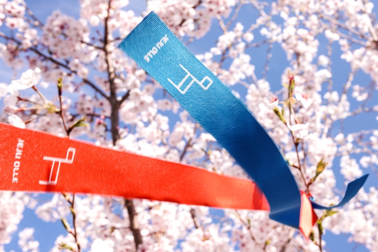 Still following the ribbons