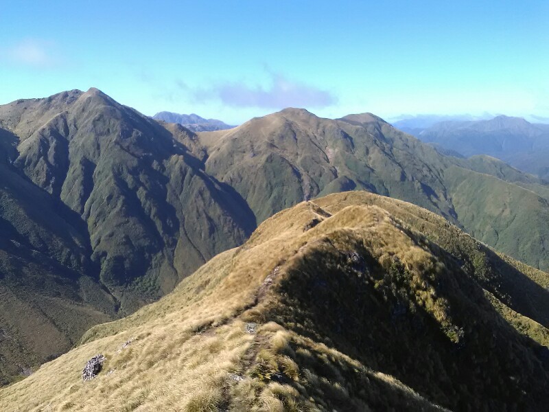 Great view from Pukematawai