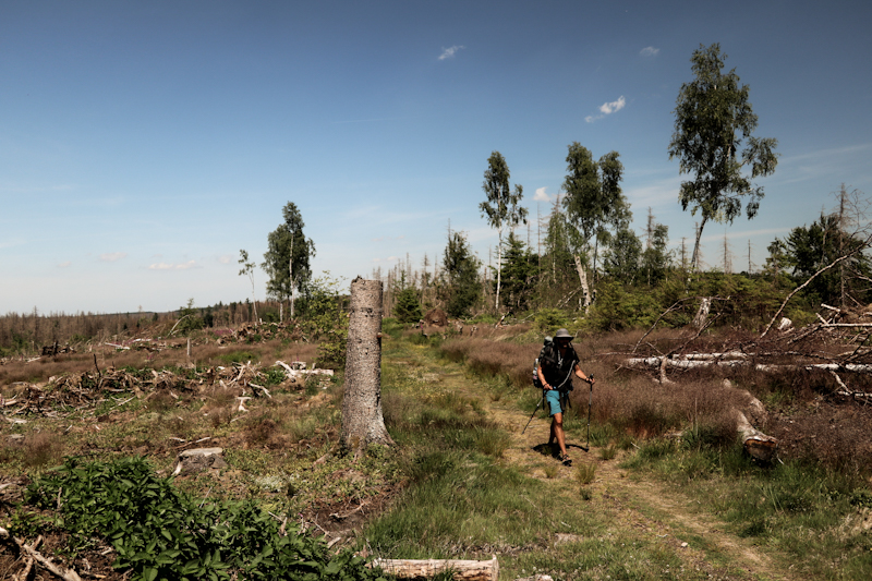 Desolate landscape