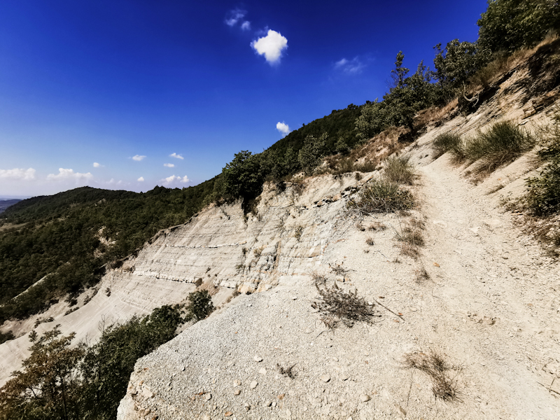 Lovely trail. Seen here skirting above some erosion 