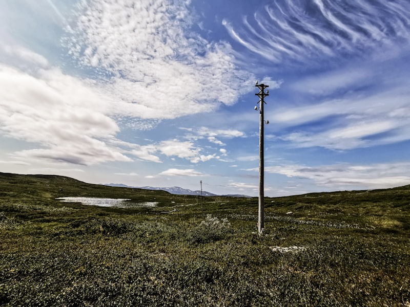 Following the poles