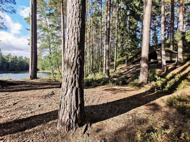 Vitsjön vindskydd, hidden behind the trees on the right