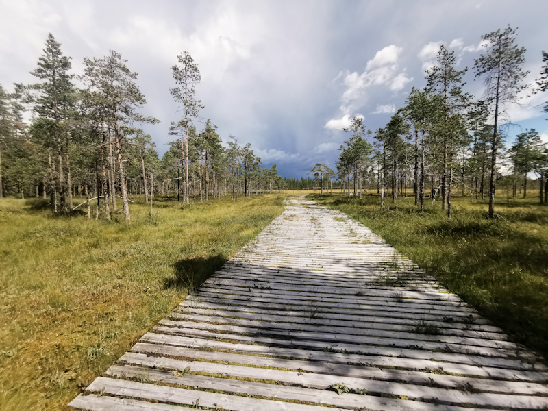 Boardwalk into the thunderstorm