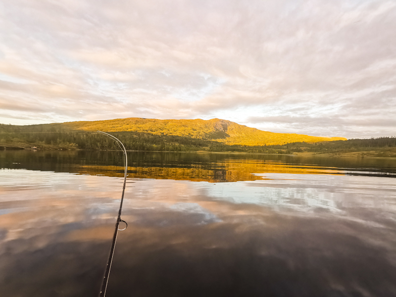 My first ever fishing experience 