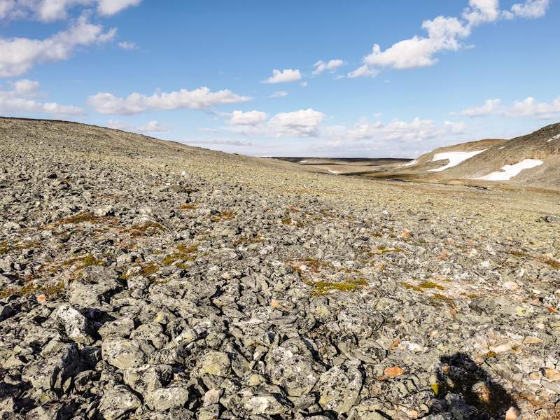 Rock field