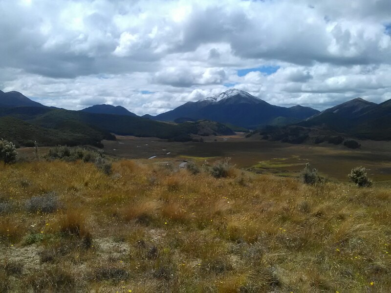 Tussock parts offering some good views