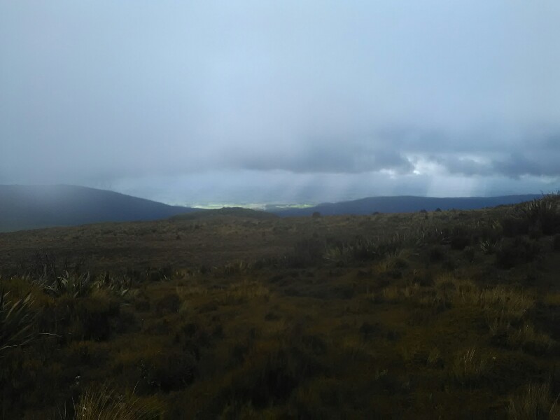 View from Bald Hill